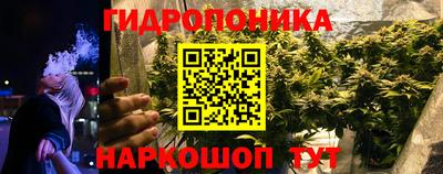 гидропоника Ирбит