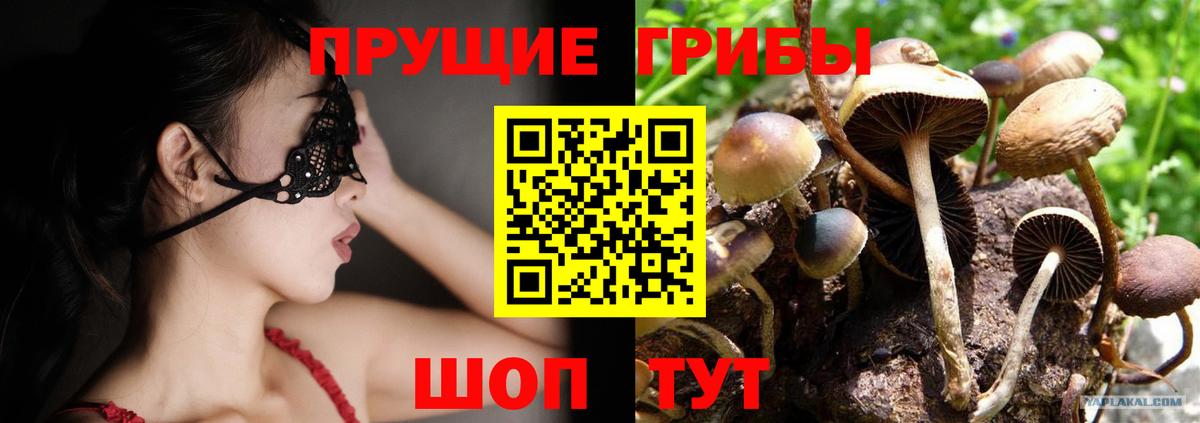 Псилоцибиновые грибы ЛСД Лениногорск